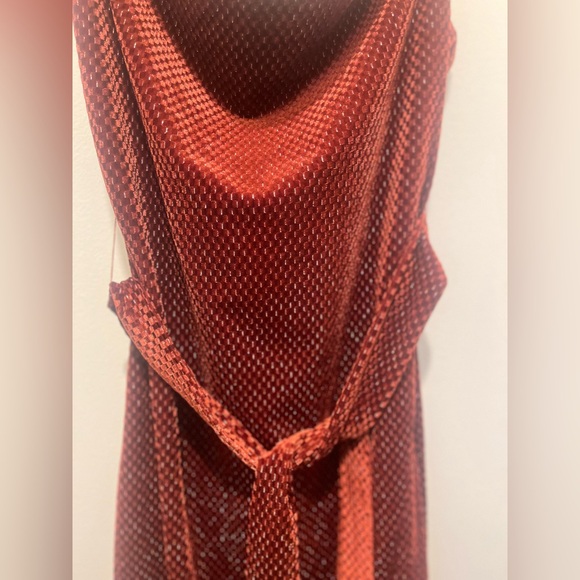 Lost + Wander Cinnamon red burgundy burnt orange velvet cowl neck midi dress - Picture 5 of 9